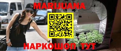 шишки Гусиноозёрск