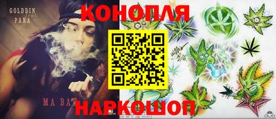 шишки Гусиноозёрск