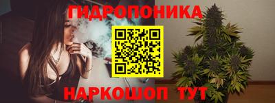 шишки Гусиноозёрск