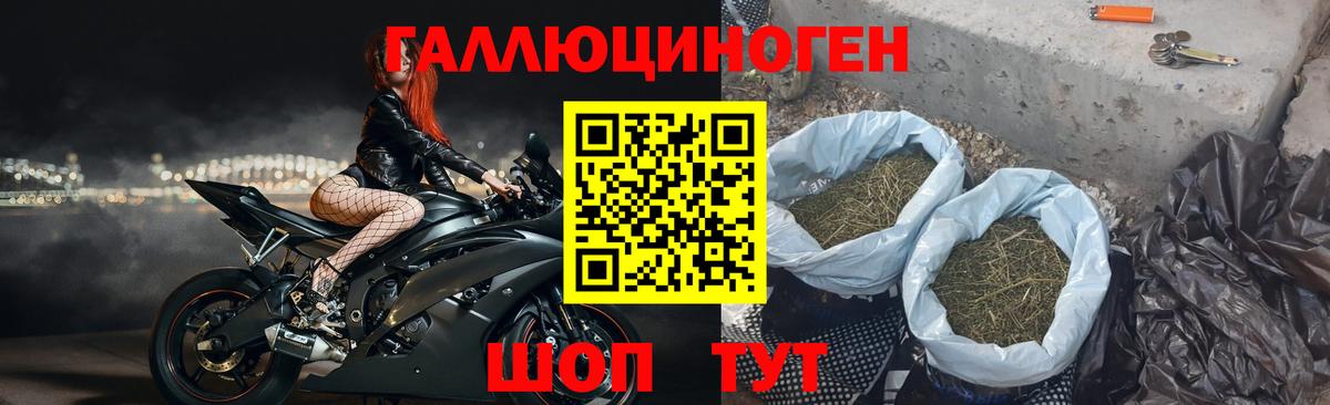 Галлюциногенные грибы мухоморы Нижневартовск